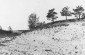 Dunes of Kalevi-Liiva, 1940. ©USHMM Photo archives